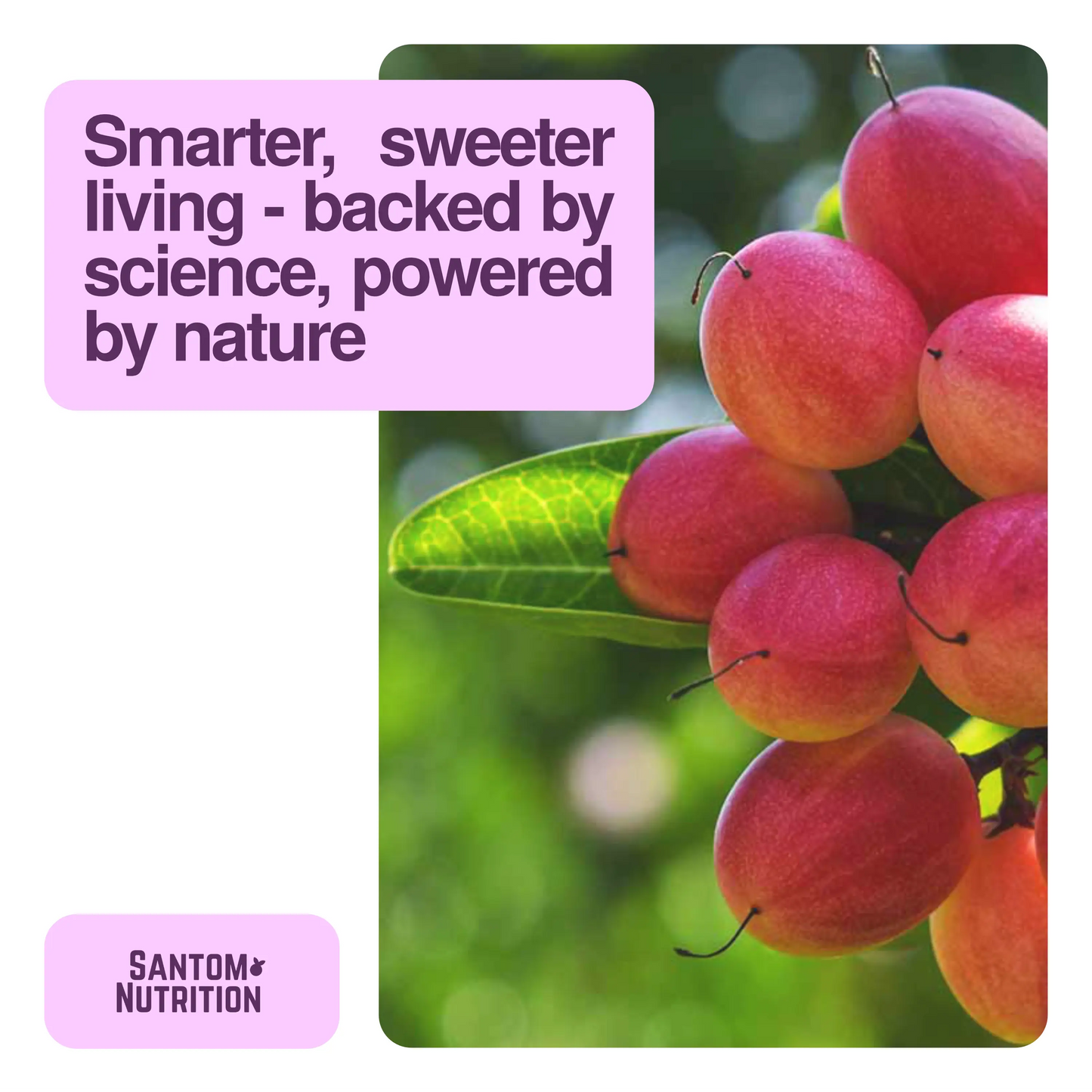 TasteCare® Miracle Berry Tablets 1-Pack / 30 Tablets