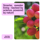 TasteCare® Miracle Berry Tablets 1-Pack / 30 Tablets